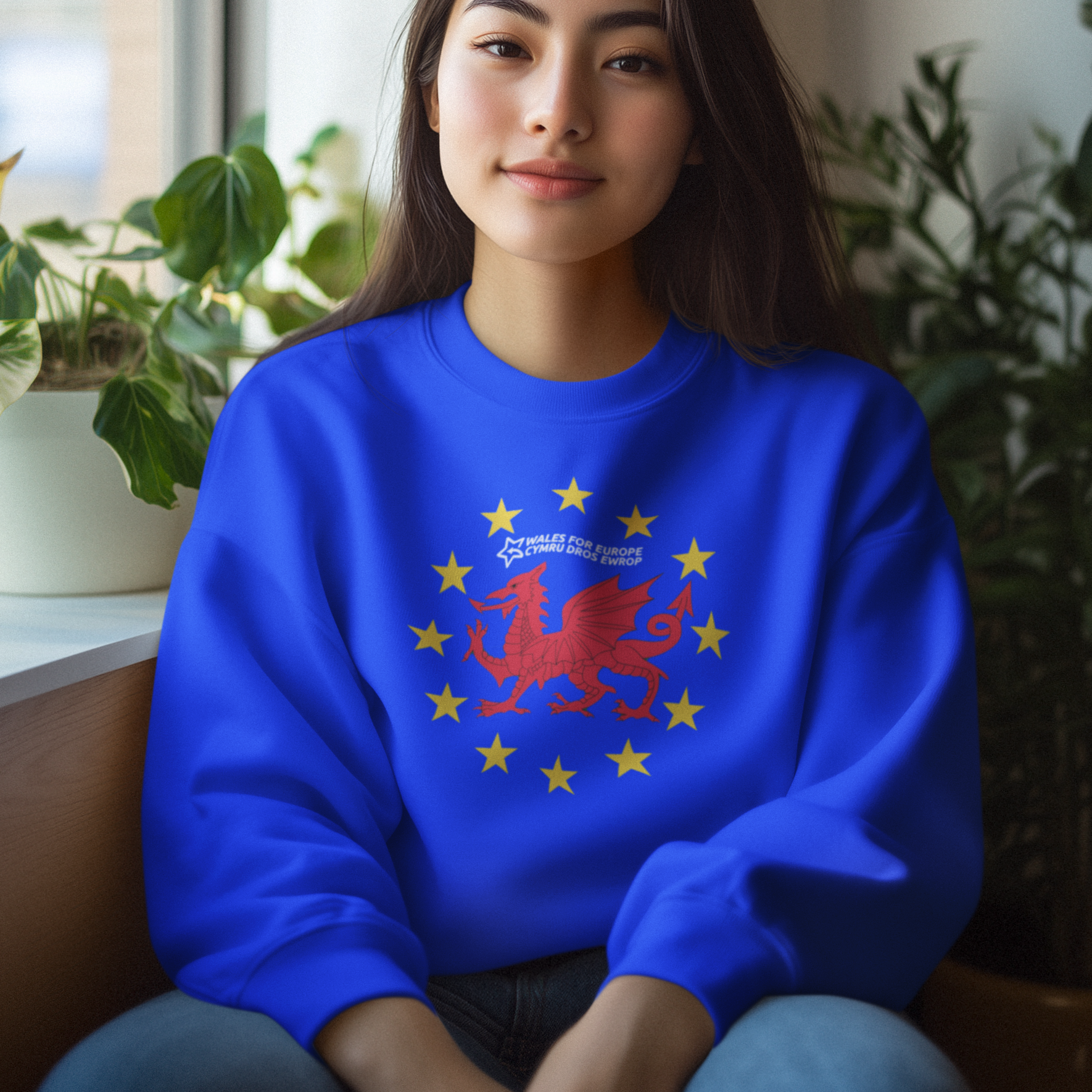 Wales for Europe