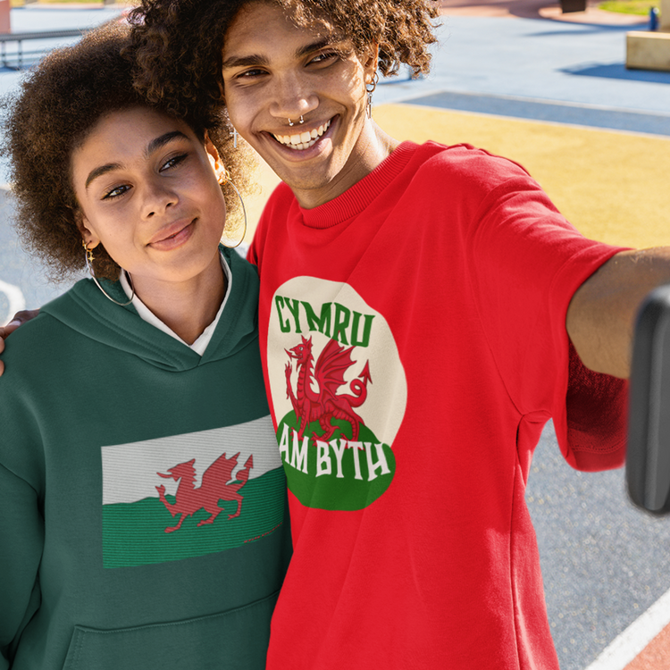 The Welsh Flag Collection