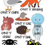 A cartoon-style educational chart showing various animals with Welsh 'count the' phrases beneath them, including a seagull, fox, squirrel, hedgehog, spider, and bee, on a plain white background.