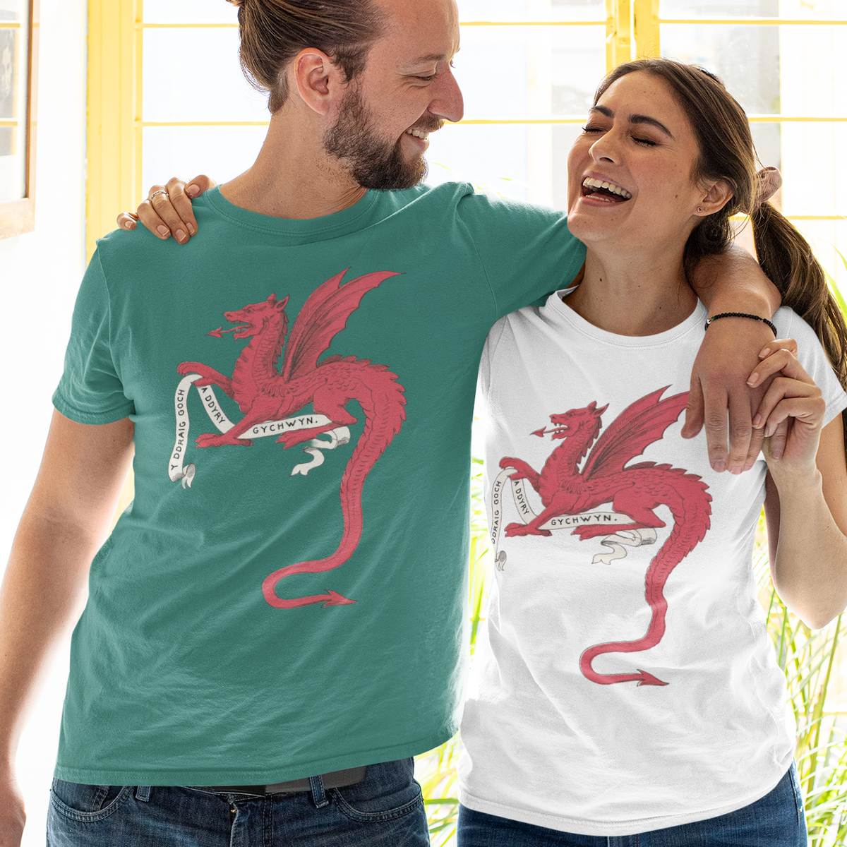 A man and a woman standing together indoors, both wearing T-shirts with a red dragon graphic and the Welsh flag colors. The man wears a teal-green shirt and the woman wears a white shirt.