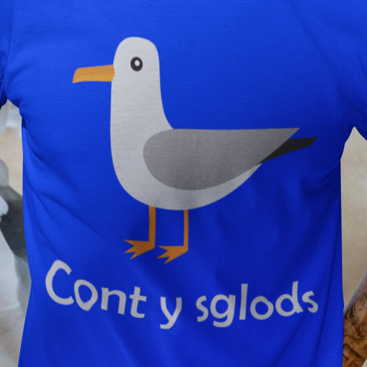 A man wearing a blue T-shirt with A CARTOON SEAGULL and the text 'Cont y sglods' and a graphic of a seagull.